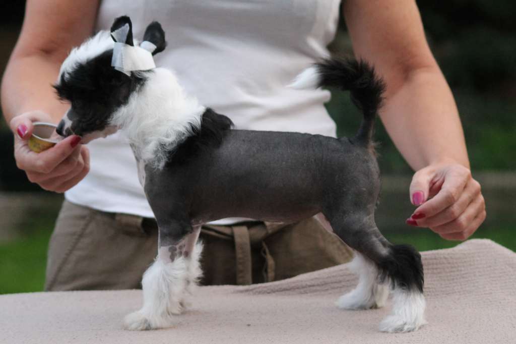 Downtown Abby  by Little Jade