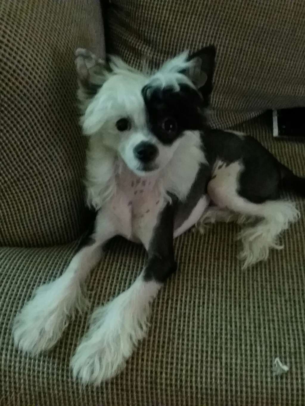 Teka's Never Have I Ever...