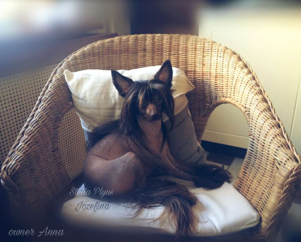 Stella Plyus Josephine Liss