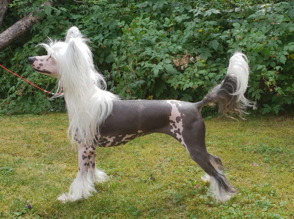 Angel Sprinkle's Awkward Moment