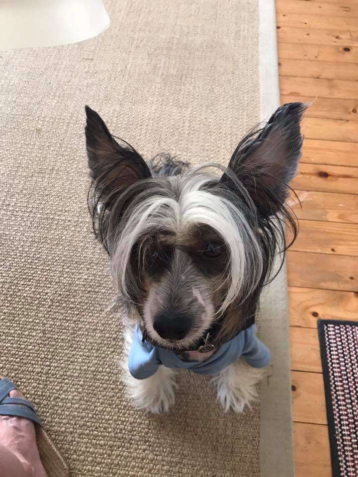 Maximilla's Crack The Code