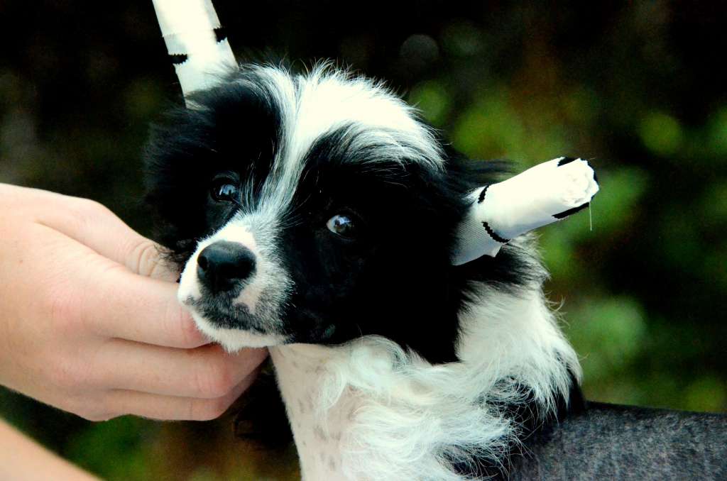 Denali's Alexis Graves