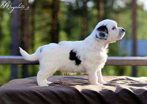 Allegranden Eat Sleep Play Repeat