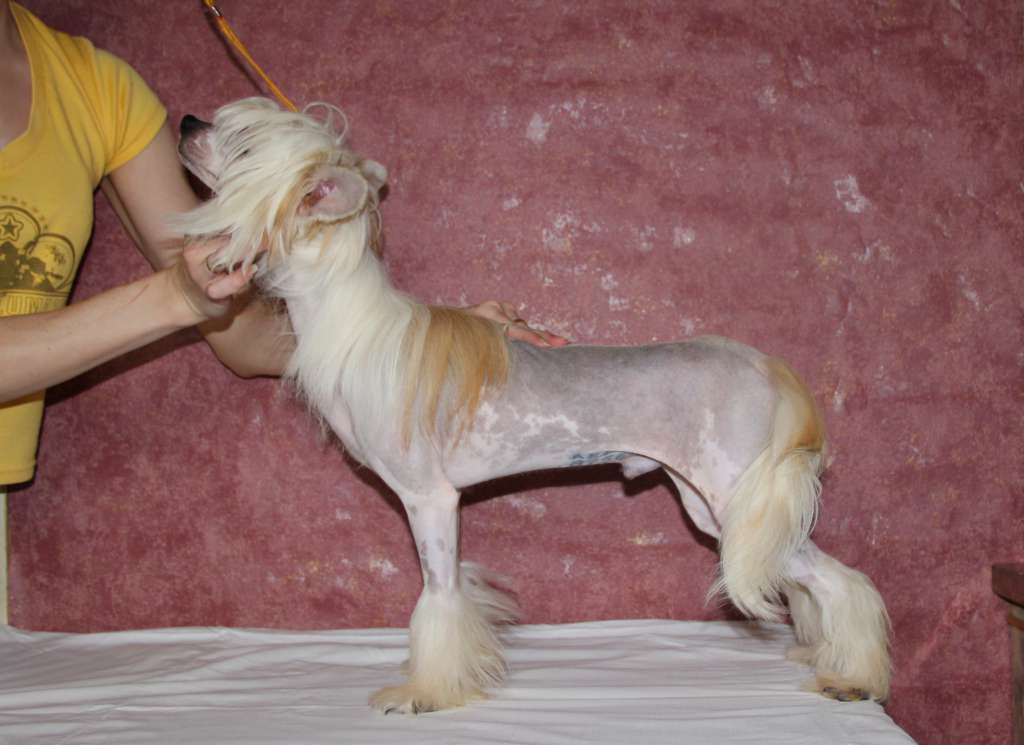 Moonlight Fantazy Blood on Fire