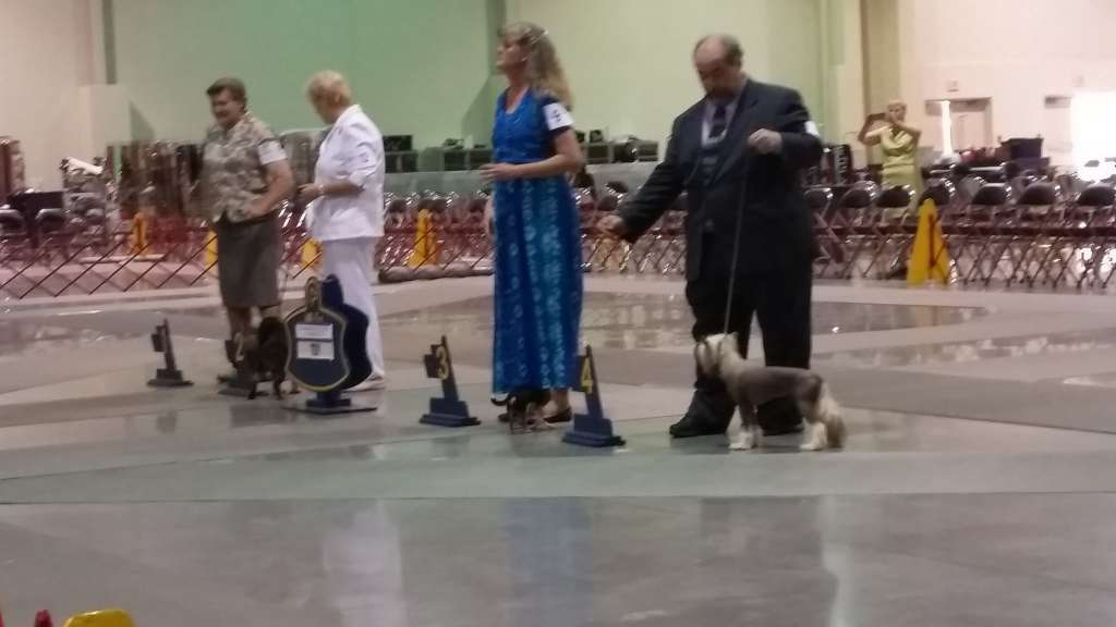 Magnolia's Skinny Dipping In The Moonlight