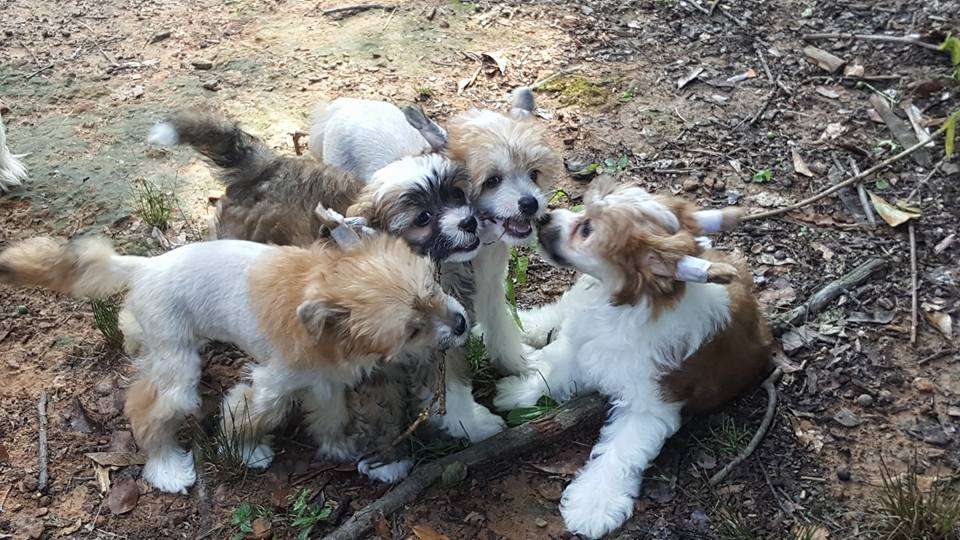 Pinevalley's Just What The Dr. Ordered