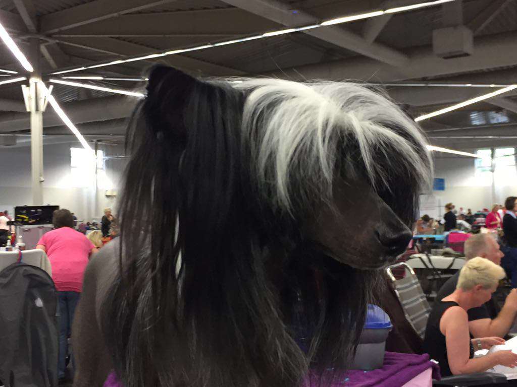 Didda Jewel Pretty Sweet