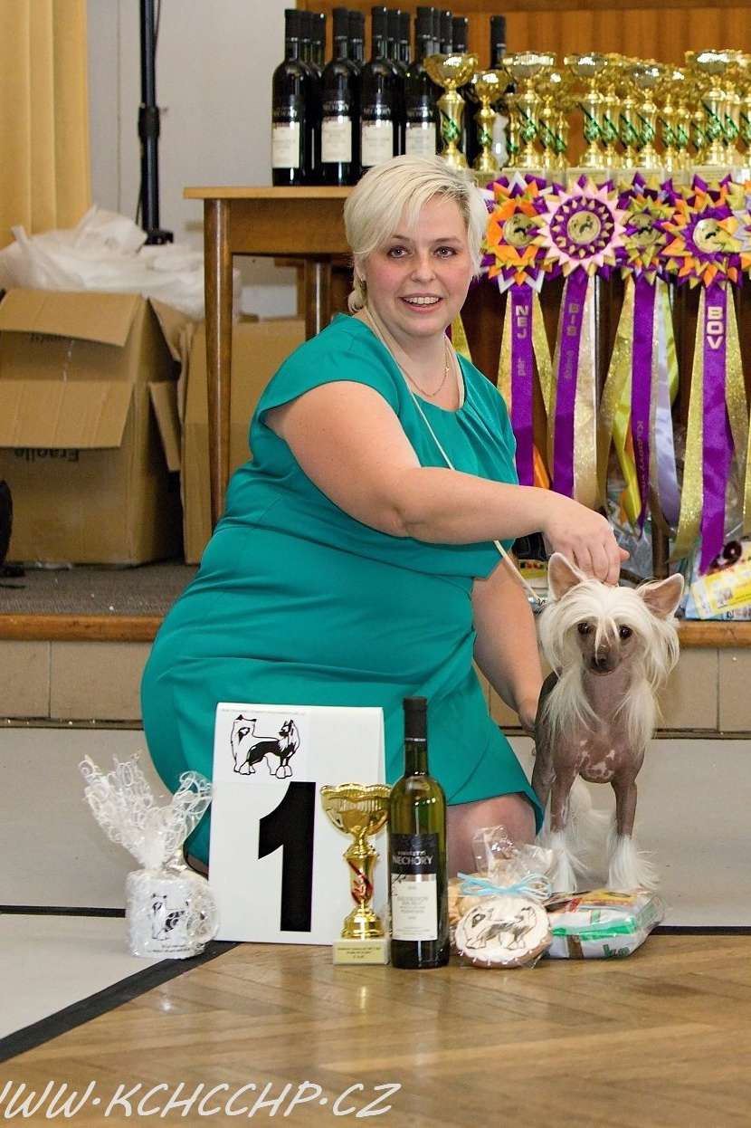 Fairy Felicity Akwen