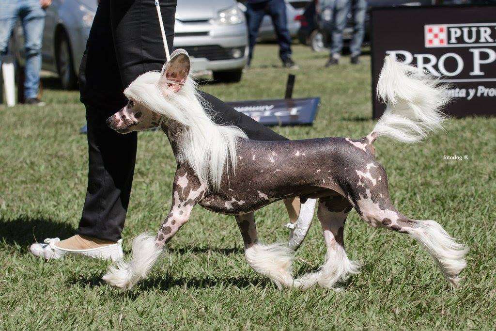 Censor Winning Smile