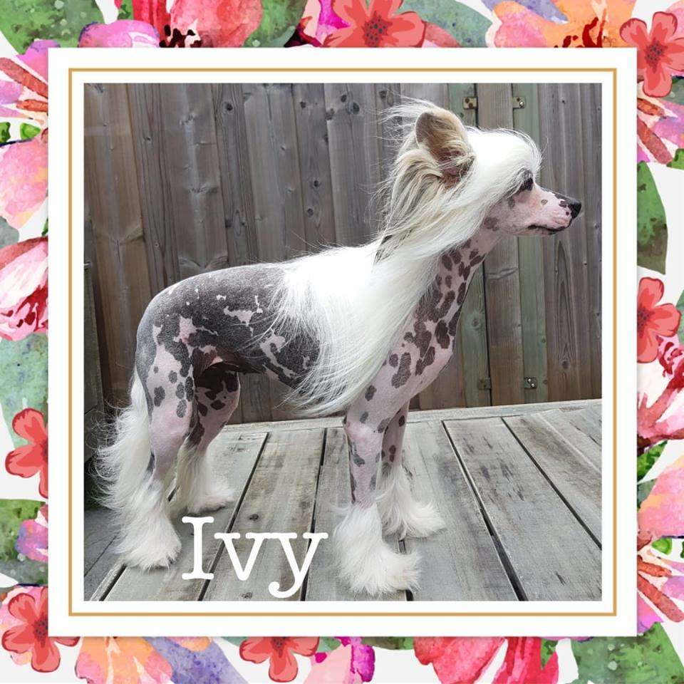 Kissing All Over of Roxy's Pride