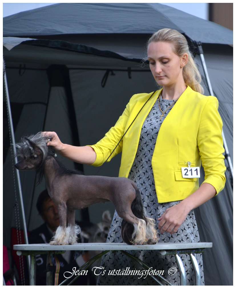 Lisar's Spring Fling