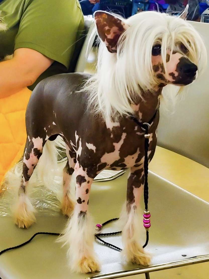 The Night Is Darkest Just Before The Dawn