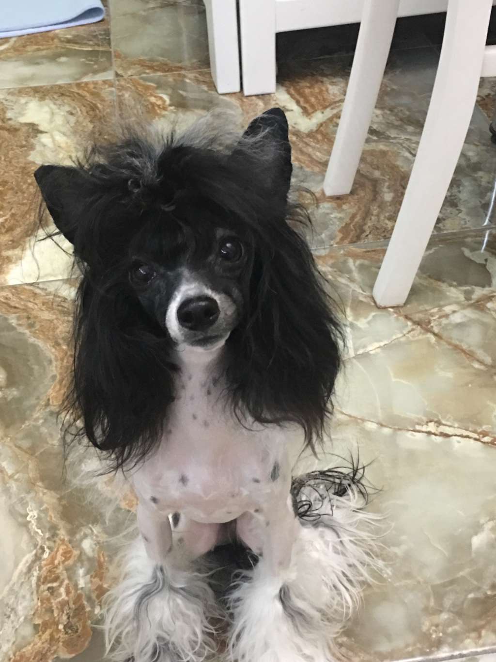 Charuyuschiy Soblazn Zhanneta