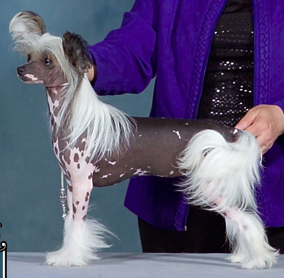 Dokkum It's Only Words