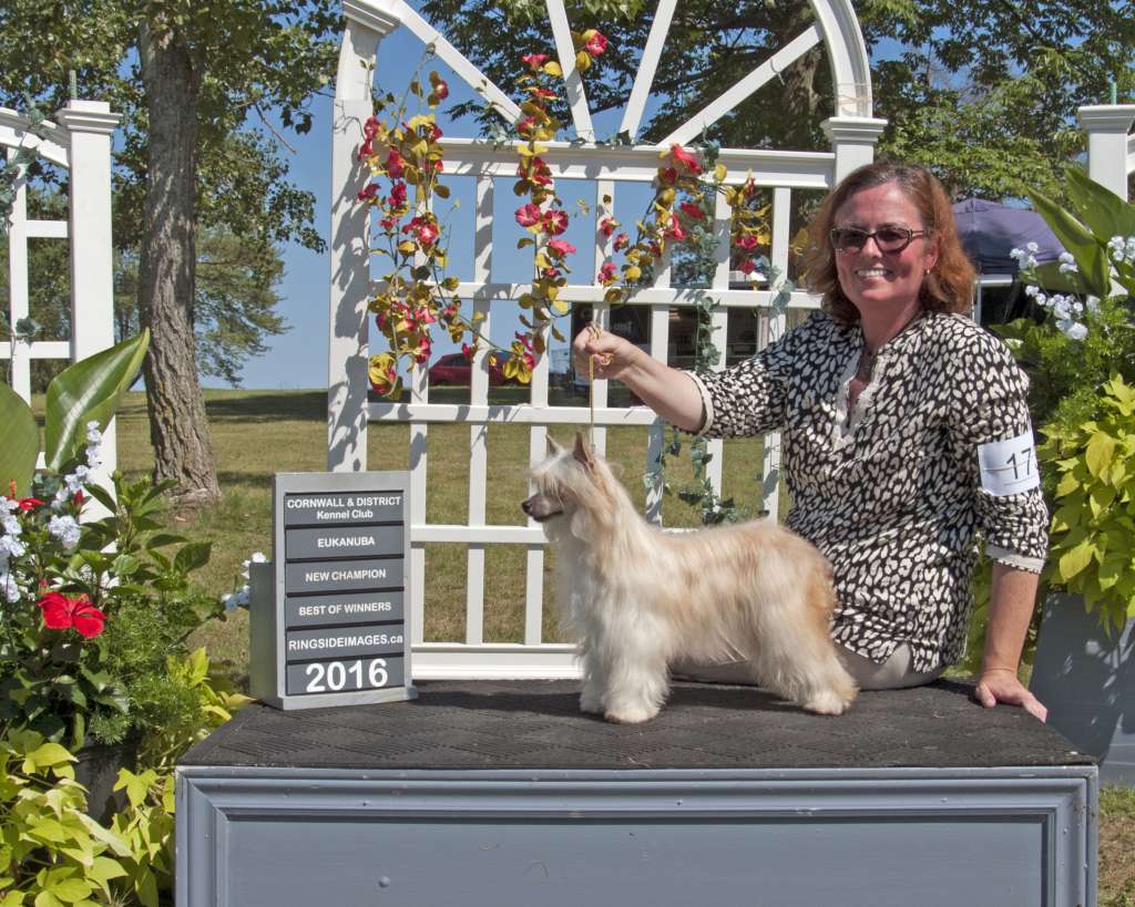 Windwater Mink Deville Ladyday