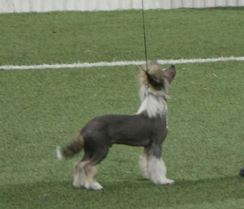 Bopar Nothing Ventured