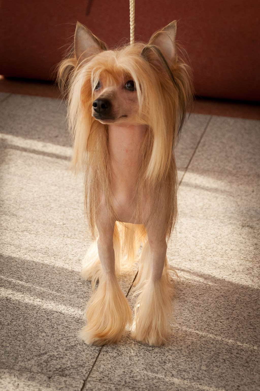 Floyd Casper El Tiola