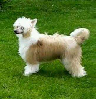 Tri-Lovin's Good Times Never Seemed So Good