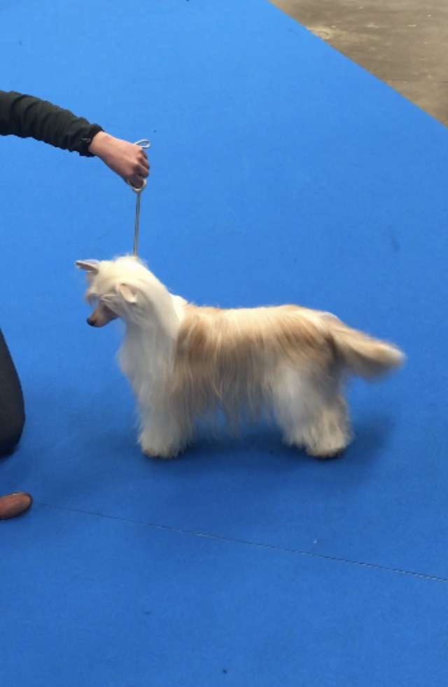 Prefix Little Miss Sunshine