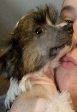 Sterling-Karma Thomas Edison