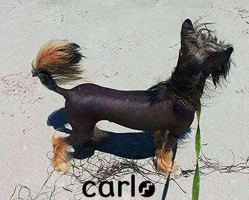 Tri-Lovin's Stark Naked