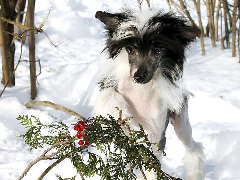 Ksolo Club Graffiti Lanart