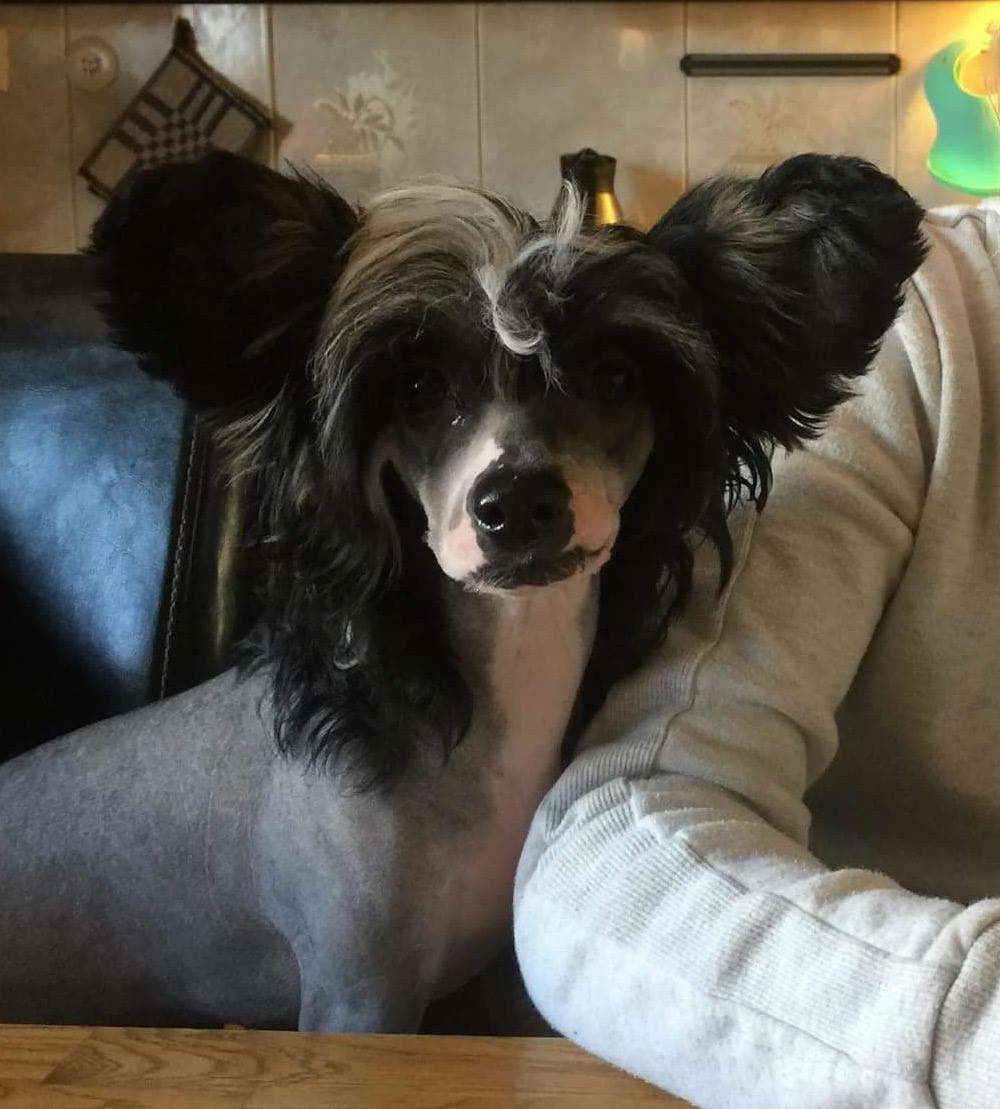 Jean Dark Mary's Song