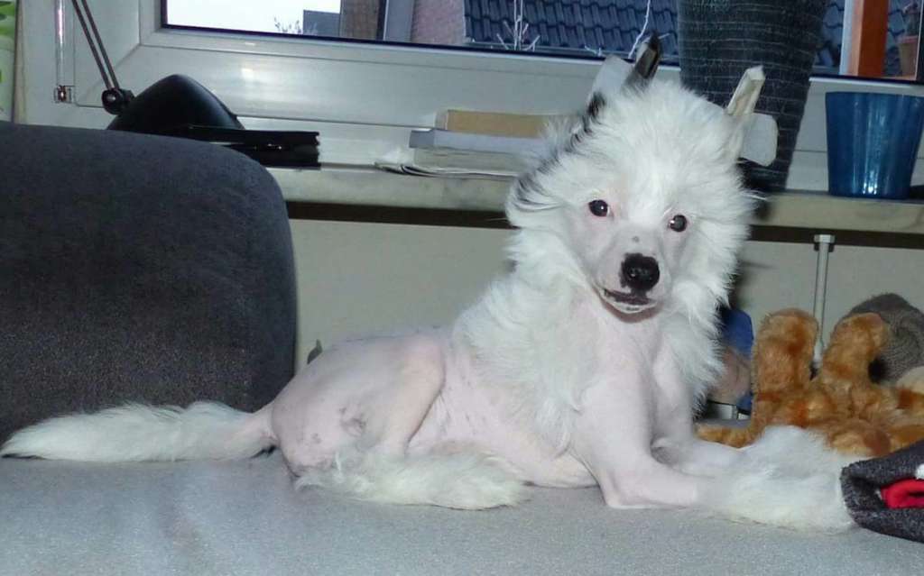 Etienne vom Apfelland