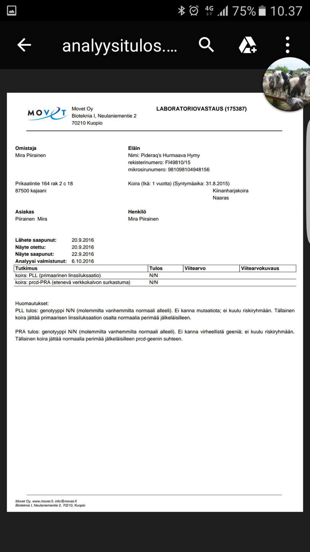 Pideraq's Hurmaava Hymy