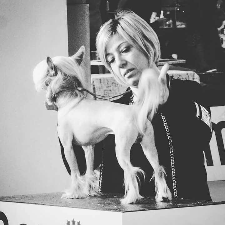 JrCh. Dakota Rose Italian Lover