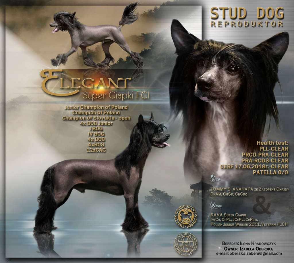 Elegant Super Ciapki