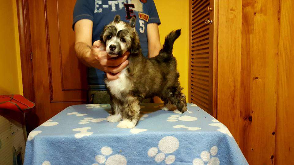 De Cabanelas From the lost to the river