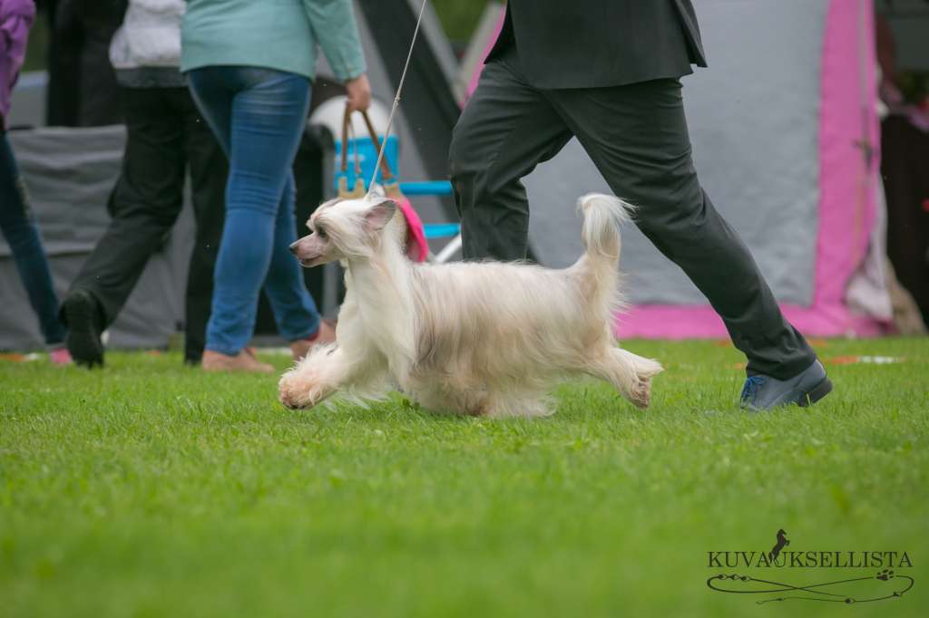 Ridgecrest's Made Impressive