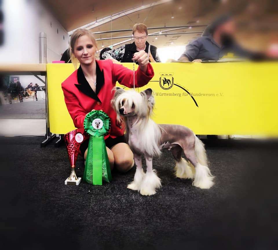 Sabir Arsalan Diamond Place