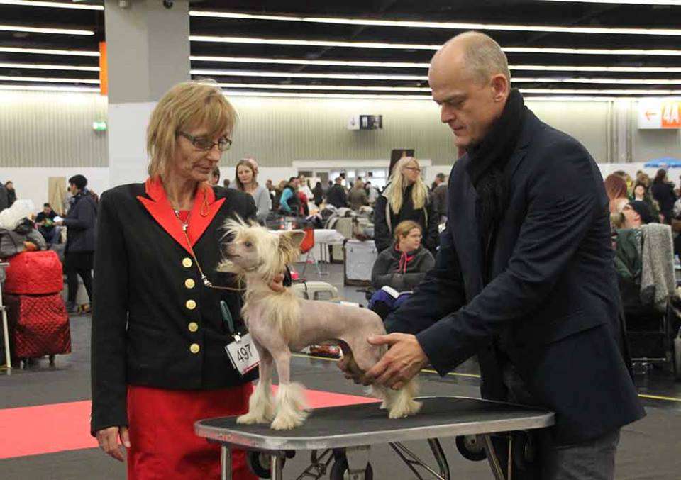 Ruffina Siara Diamond Place