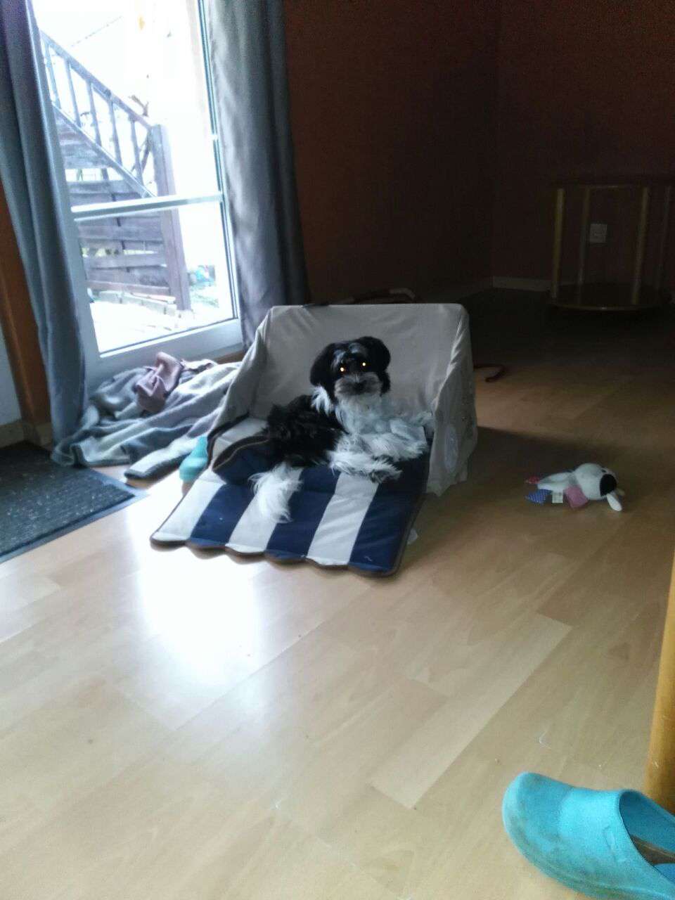 Urmel von den Windpferden