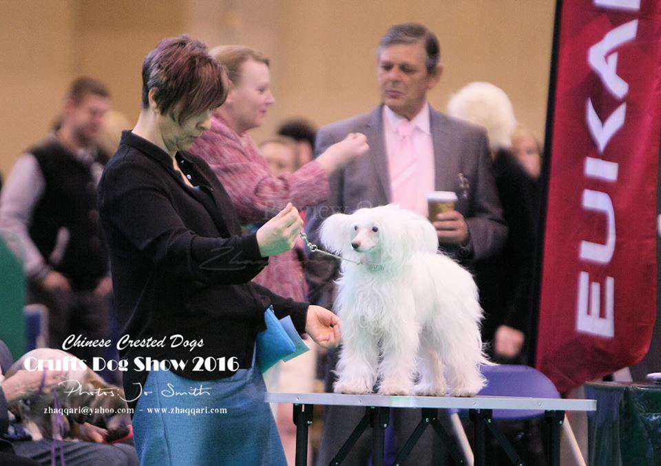 pufflepaws blanca nieves