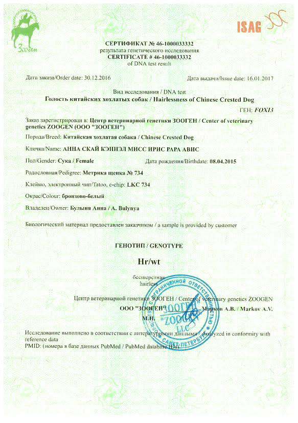 Anna Sky Kennel Miss Iris Rara Avis