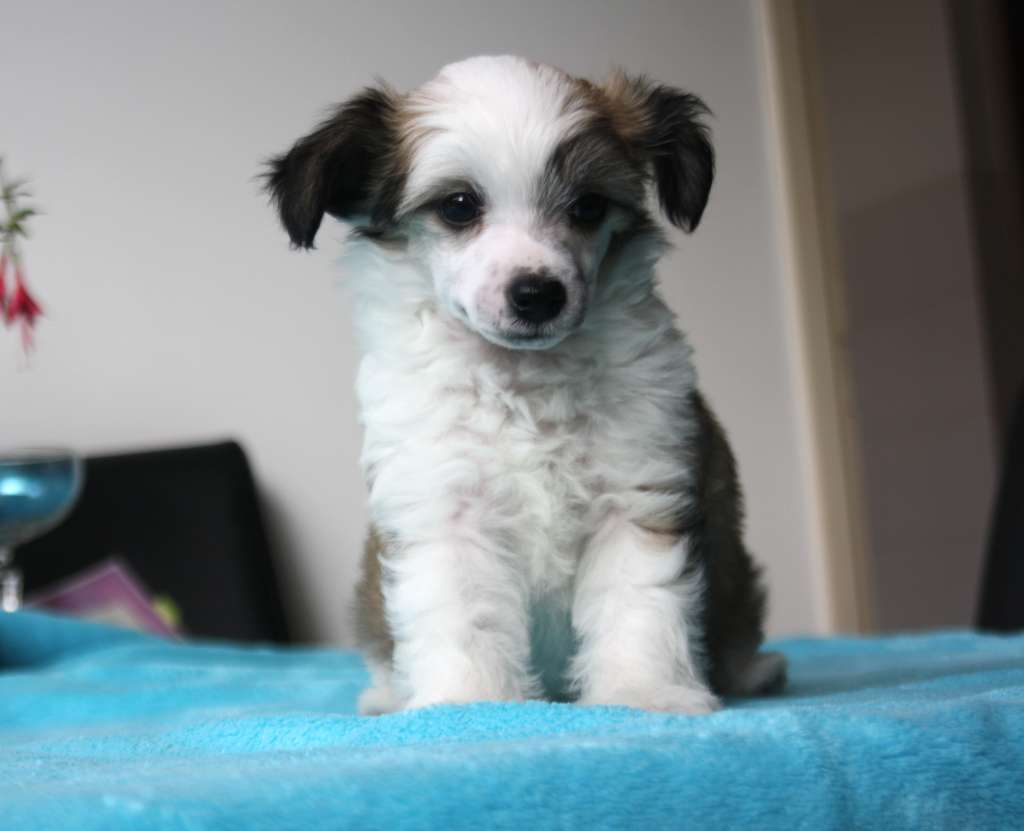 Made My Day of Angel's Legacy