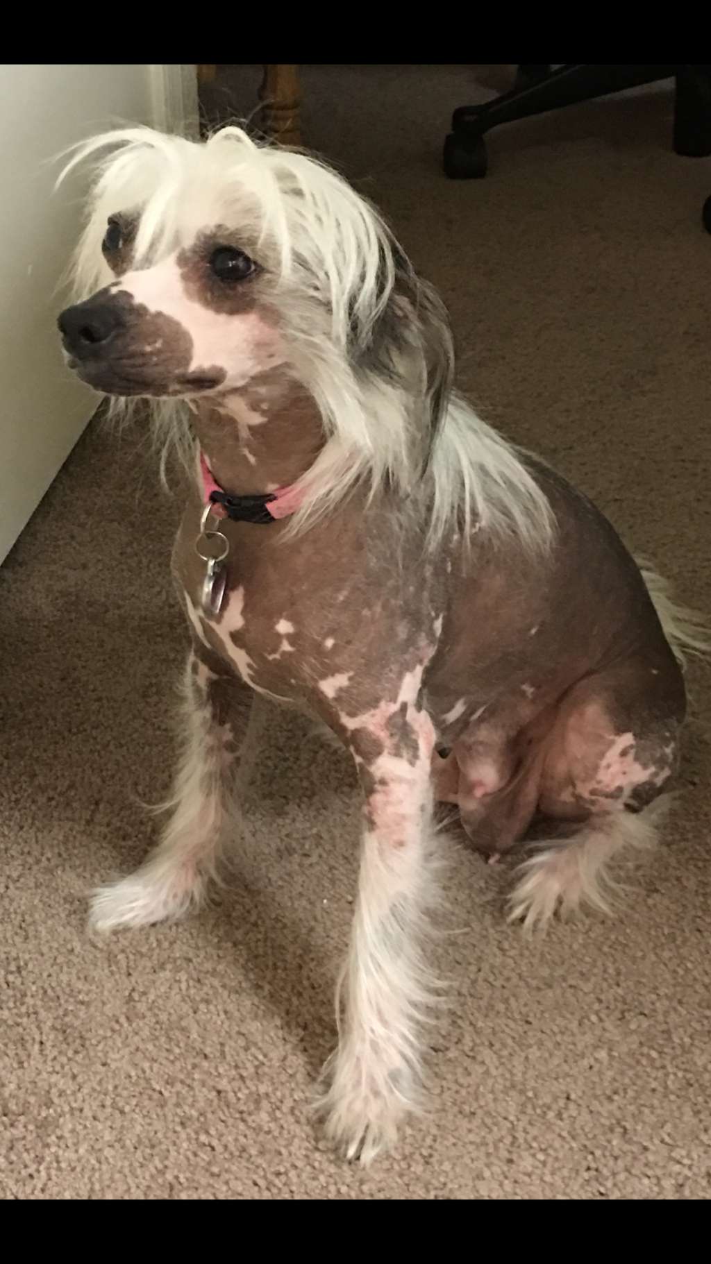 Princess Sophia Sharp Spikes