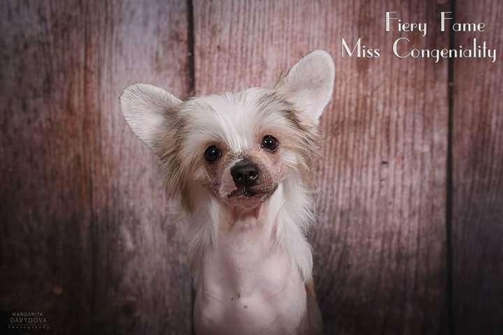 Fiery Fame Miss Congeniality