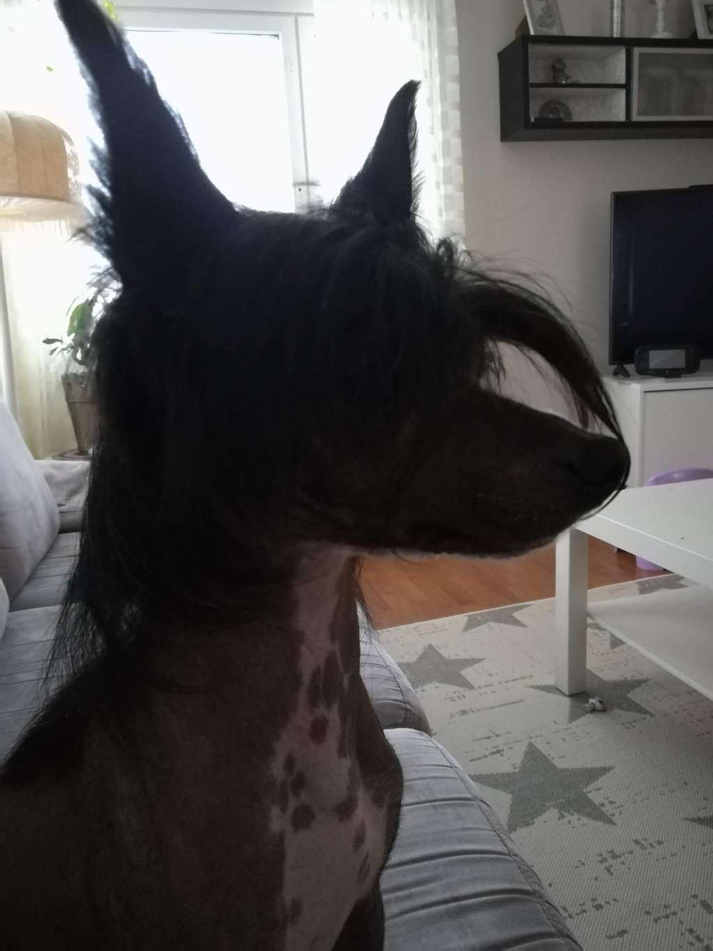 Sun Dan Black Leather