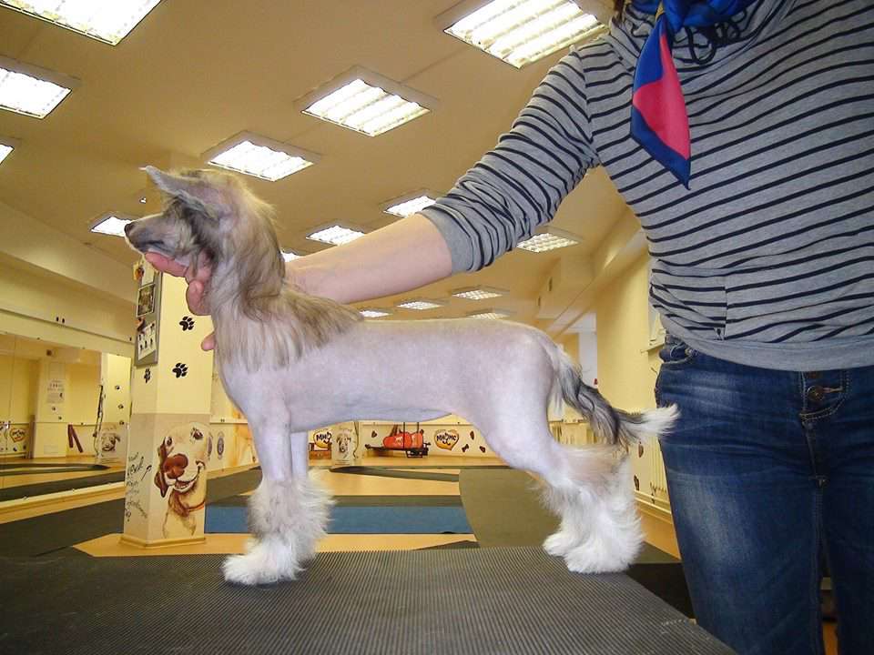 Samara Beauty Briyney Jean Spears