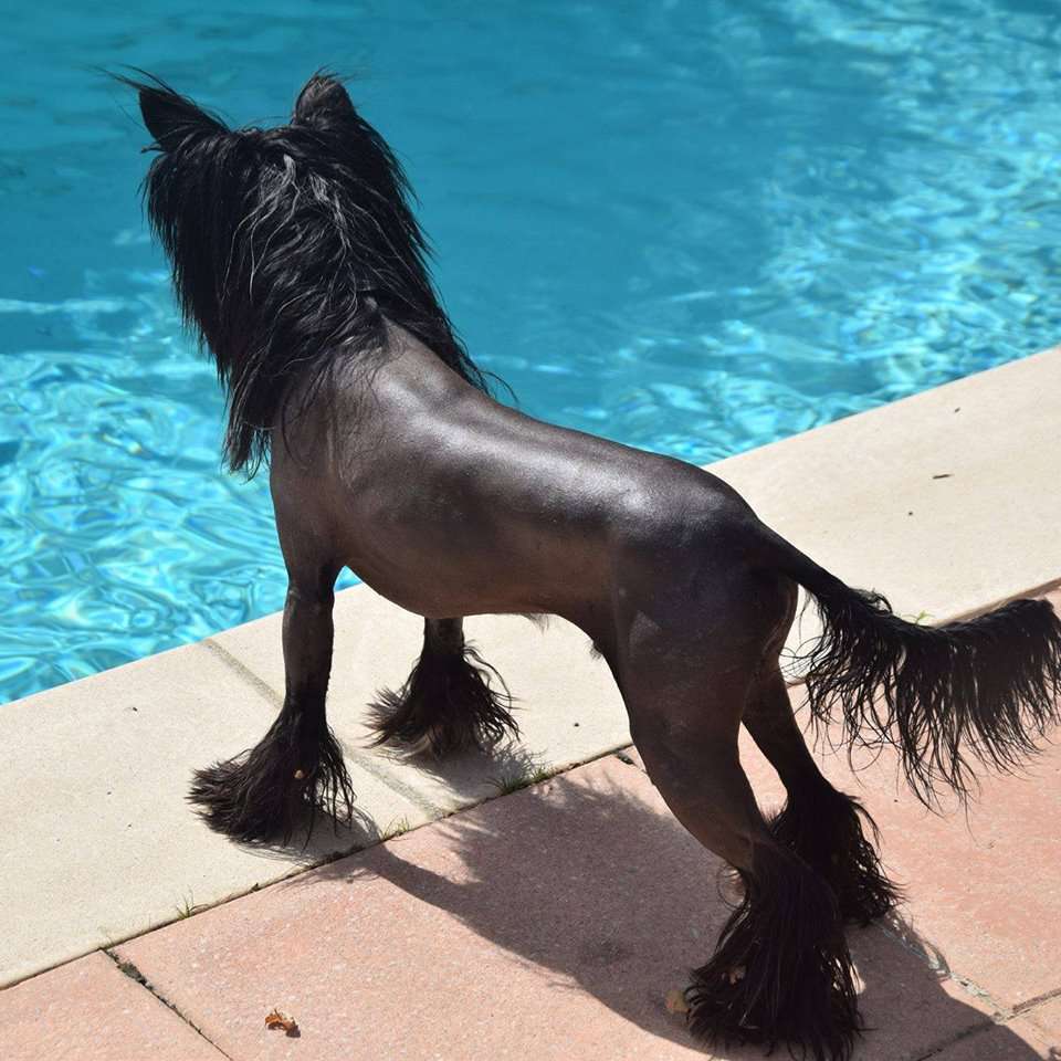 iakarandas Happy Hour