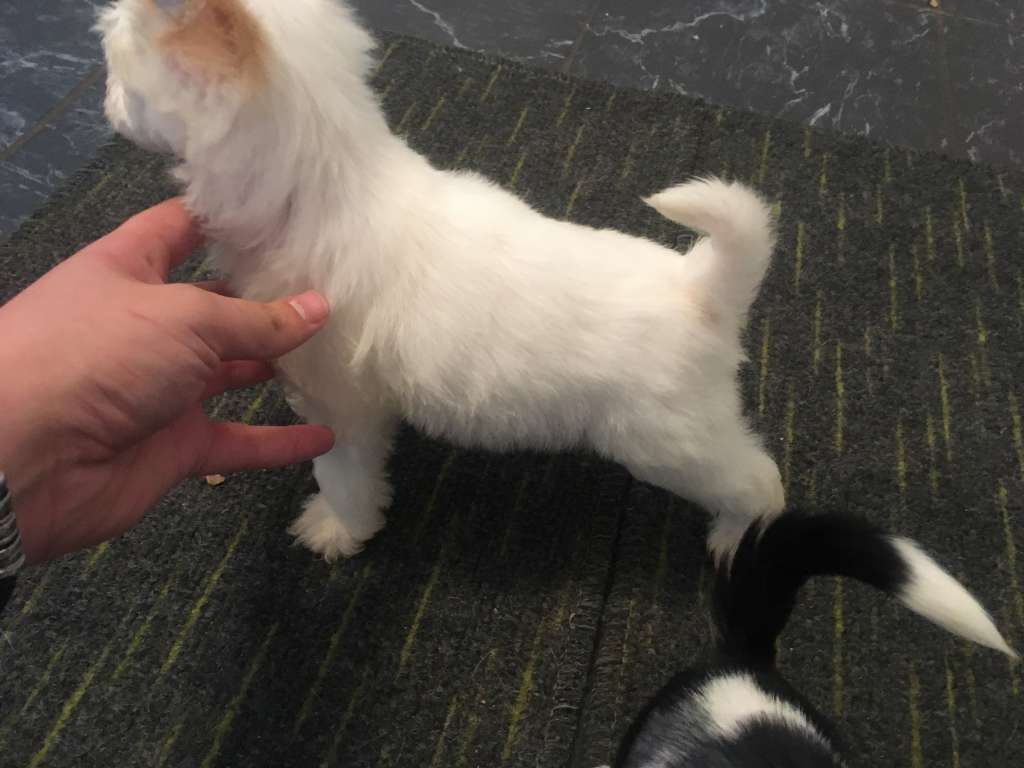 Kiwango Beyond Belief