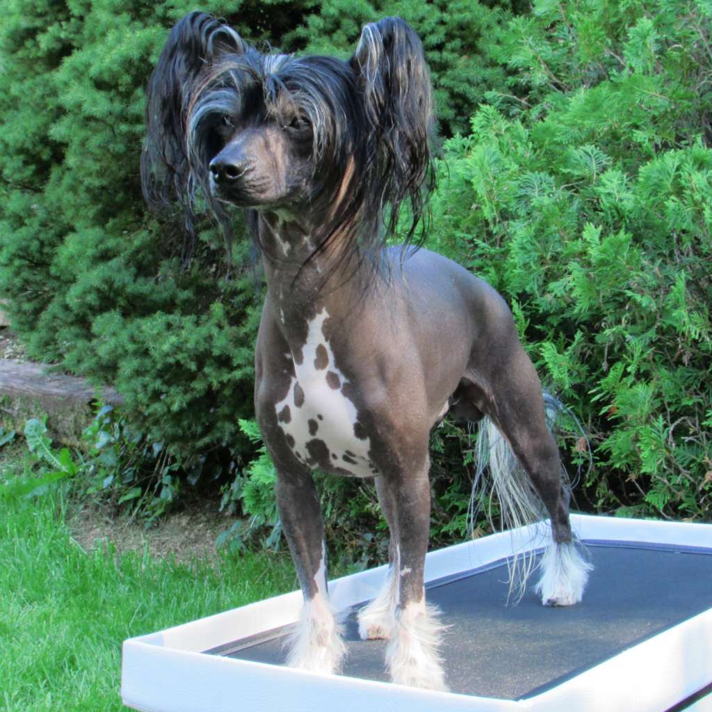 Family Song's Yesse Yames