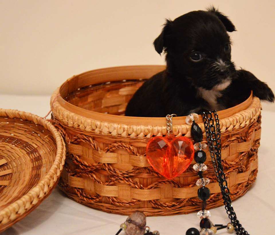 Fauziya Dzhumana Ivan