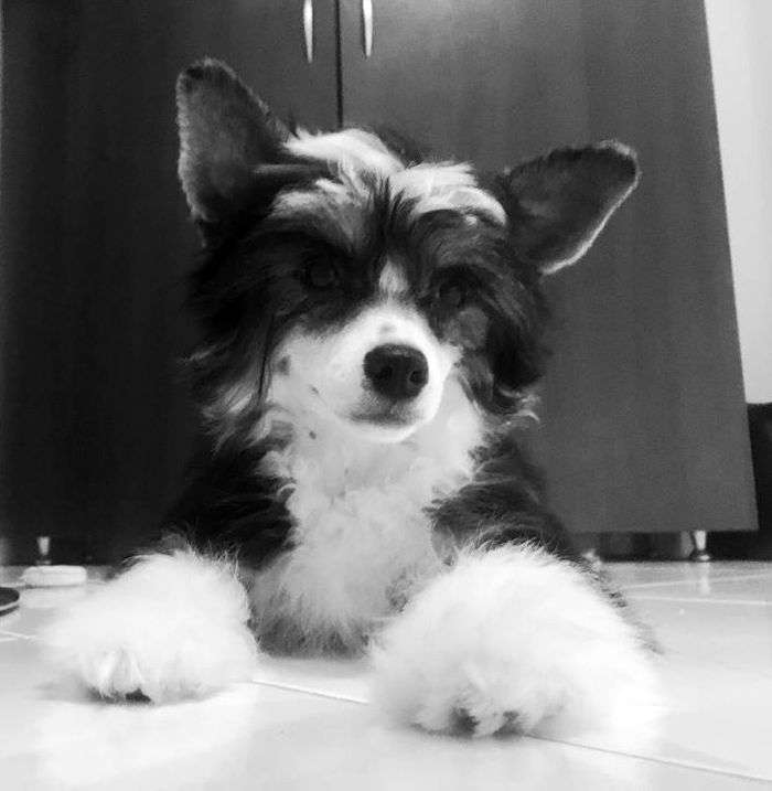 Fundoklia-völgyi Kaszanics Hopy