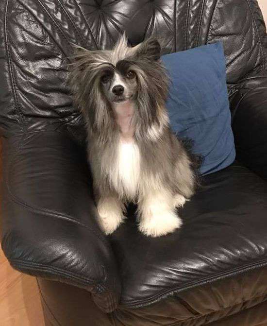 Fundoklia-völgyi Kaszanics Sirene