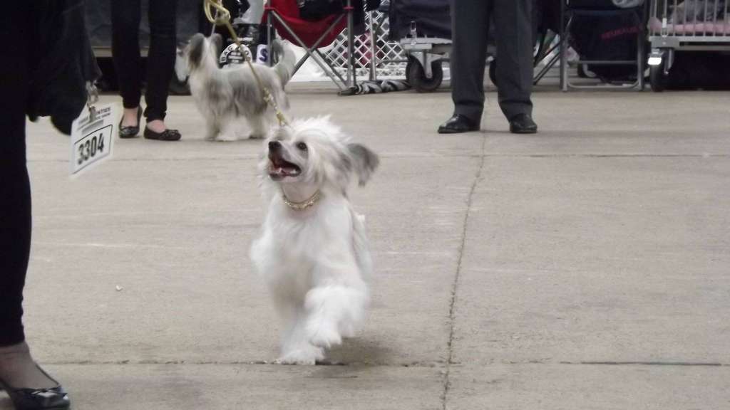 Galanday Simply The Best